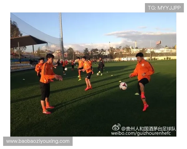 因凡蒂诺现身土耳其观战热身赛引关注 因凡蒂诺现身土耳其观战热身赛引关注